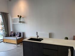 Loft @ Rangoon (D8), Apartment #595866711